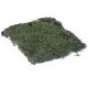 Terrario Shadow Forest Moss - mech naturalny 35x30cm