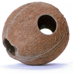 Terrario CocoLair - cały kokos naturalny