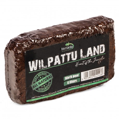 Terrario Wilpattu Land 4l - czarne włókno kokosa 4l