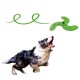 Italy Dogs Fresbee Ninja - latający dysk dla psów