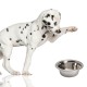 Lupipets Dog Bowl - metalowa miska dla psa 0,47L