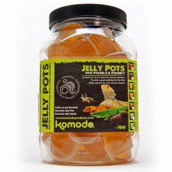 Komodo Jelly Pot Honey Jar - pokarm miód w żelu 60szt.
