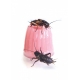 Komodo Jelly Pot Strawberry - pokarm truskawka w żelu