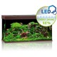 Juwel Rio 350 LED ciemne drewno - akwarium
