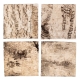 Terrario Birch Background - tło z kory 19,5 x 19,5cm
