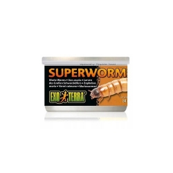 EXO TERRA Superworms - pokarm w puszce drewnojady