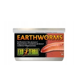 EXO TERRA Earthworms - pokarm w puszce dżdżownice