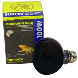 Komodo Moonlight 75W - nocna żarówka grzewcza