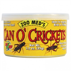 Zoomed Can O' Crickets Medium - pokarm w puszcze świerszcze średnie