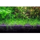 NEO Soil Plant 8l - podłoże do akwarium roślinnego