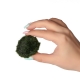 Eco Plant Marimo Ball Moss - gałęzatka 4 - 5cm