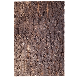Repti-Zoo Big Tree Background - tło z kory do terrarium 45x60cm
