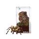 Repti-Zoo Terrarium akrylowe wysokie 7,5x7,5x15cm