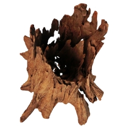 Malaysian Driftwood L - korzeń 40 - 60cm