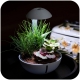 Chihiros Tiny Terrarium Egg - terrarium do hodowli roślin i gadów