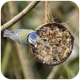 Gami Kokos zbożowy energetyczny 200g - pokarm dla ptaków dzikich
