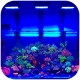 Chihiros NOVA 1 Marine LED - oświetlenie do akwarium morskiego