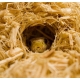 Komodo Aspen Bed 136l - chłonące podłoże dla gadów