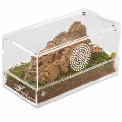 Repti-Zoo Easy Clean Acrylic Terrarium - terrarium akrylowe 20x10x10cm