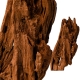 Philippines Classic Driftwood - drzewo mangrowca z wody XS ok.16cm