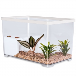 Sunsun Turtle Water Box M - akwarium dla żółwia z wyspą i filtrem