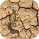 Terrario Leopard Desert 1kg - podłoże spękana ziemia pustynna