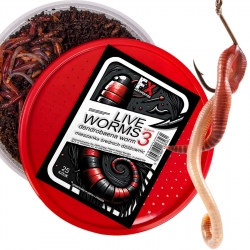 Fishing Expedition Live Worms No.3 - żywe robaki Dendrobena rozmiar 3