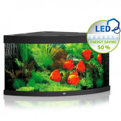 Juwel Trigon 350 LED czarny - akwarium