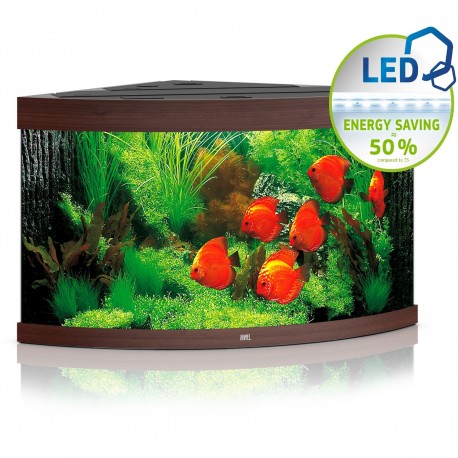 Juwel Trigon 350 LED ciemne drewno - akwarium