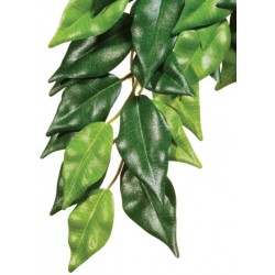 EXO TERRA roślina wisząca Fikus 70cm