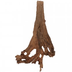 Malaysian Driftwood Drzewo - korzeń 165cm