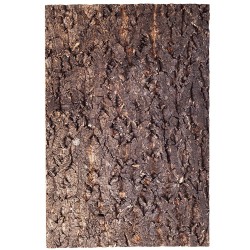 Repti-Zoo Big Tree Background - tło z kory do terrarium 20x30cm