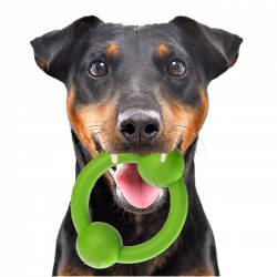 HappyPet Rubber Multi Pack - zestaw gryzaków dla psa