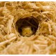 Komodo Aspen Bed 6l - podłoże włókna topoli