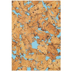 Repti-Zoo Sky Forest Background 20x30cm